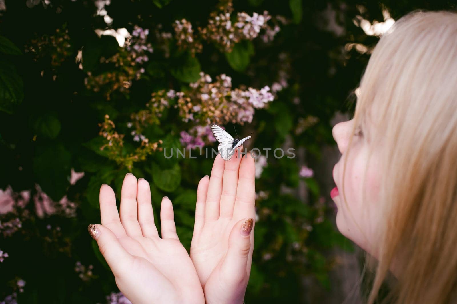 female fingers hold white butterflies on flowers of lilac and green leaves