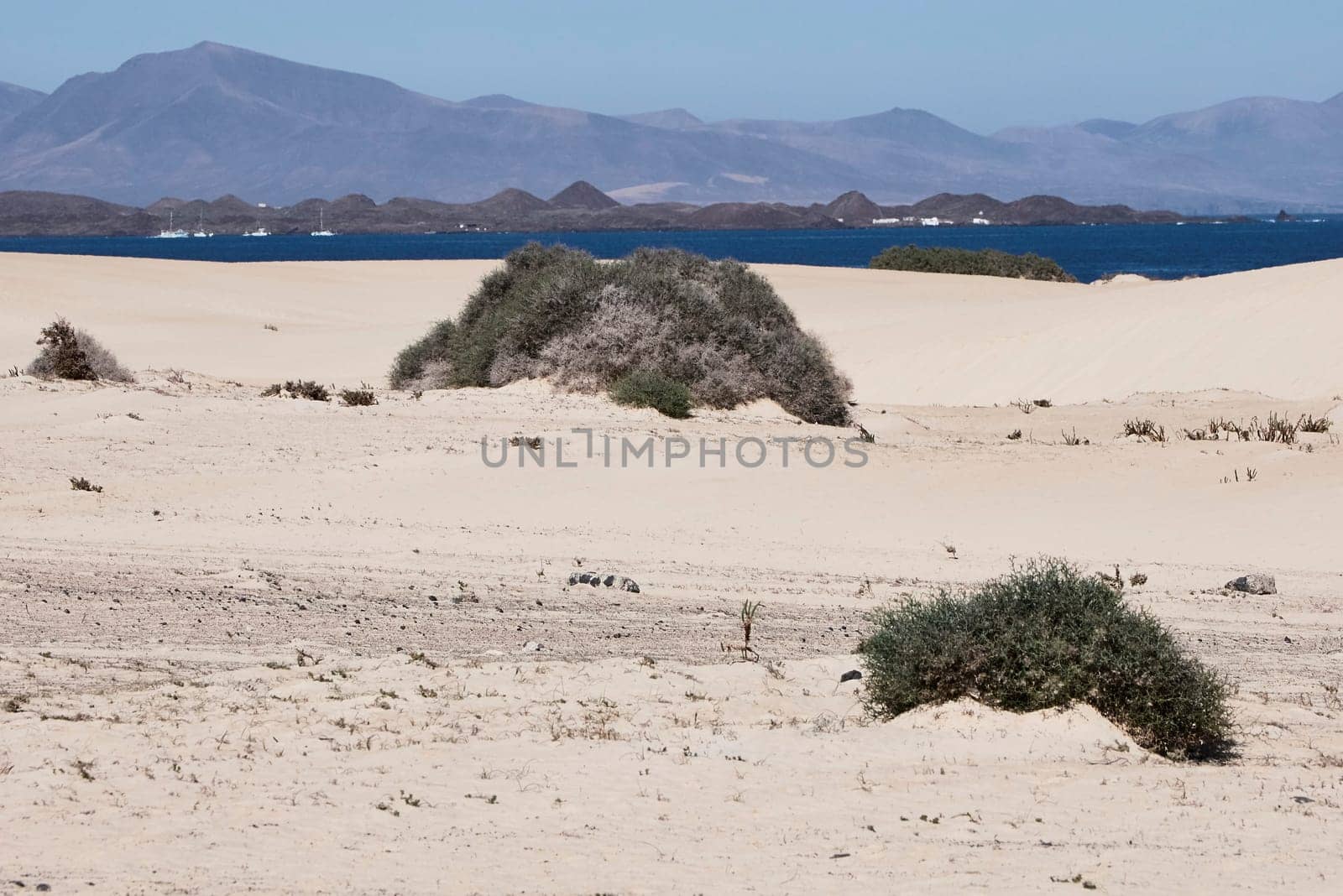 landscape on fuereteventura