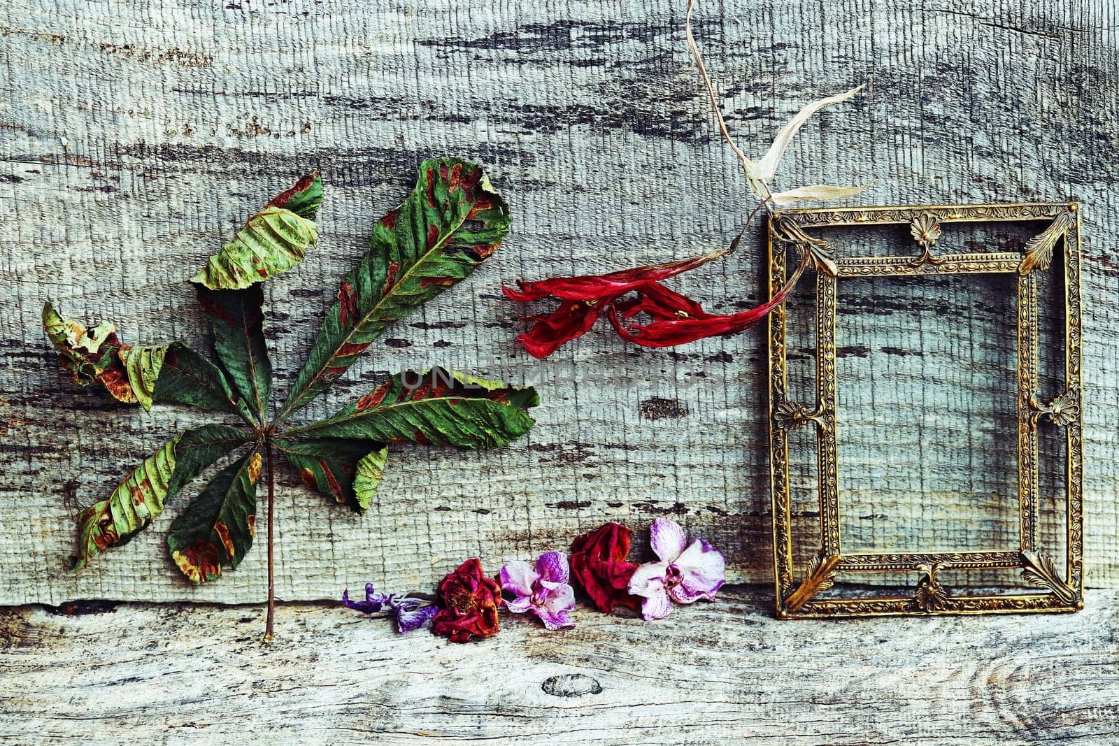 Still life with flowers,leaves and a brass picture frame on a wooden background