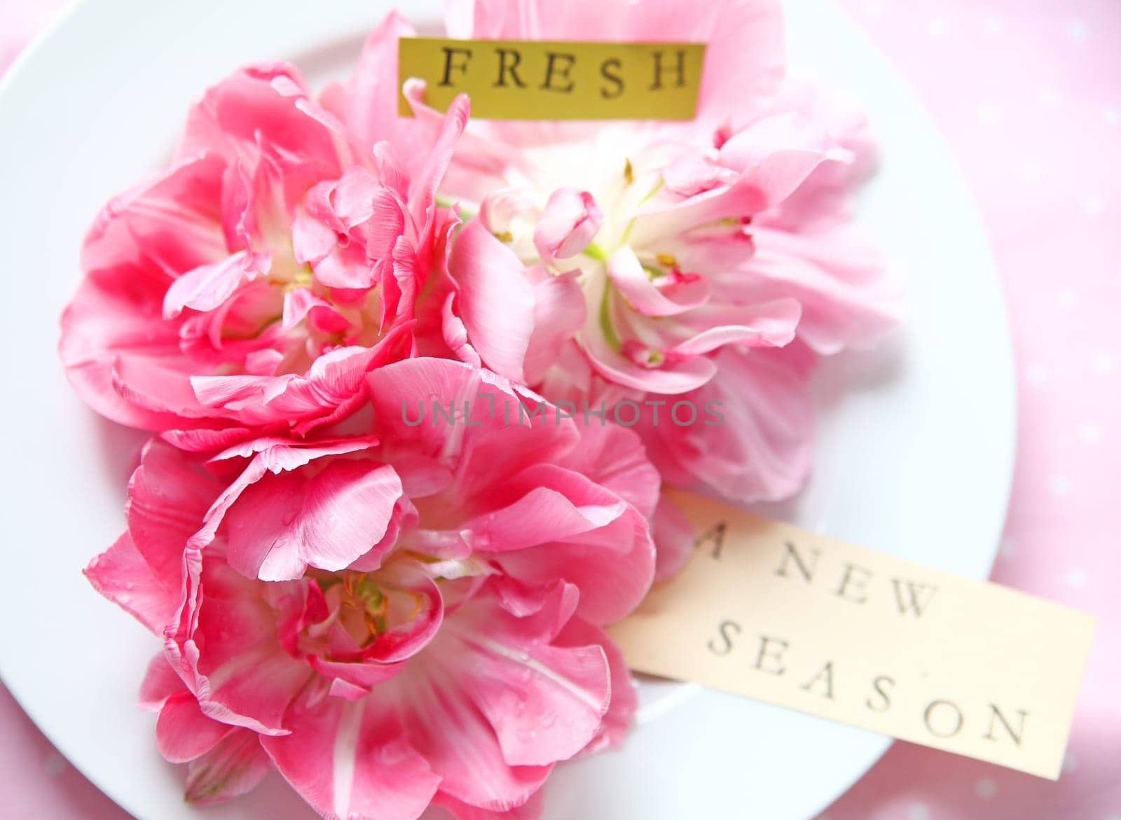 Peony-flowered tulips on a white plate with the words 'fresh' and 'a new season'