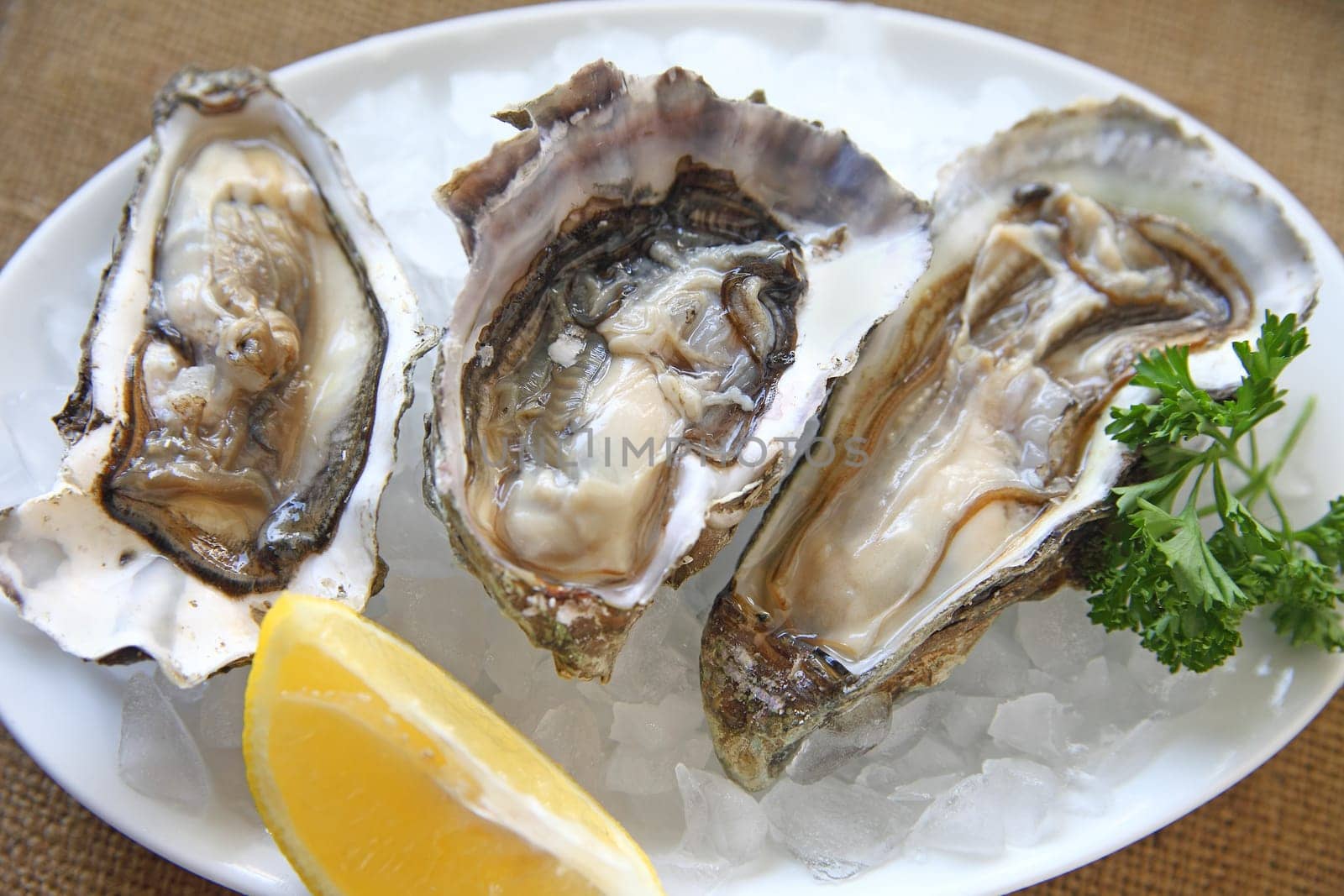 Three raw oysters on the half shell on ice with lemon