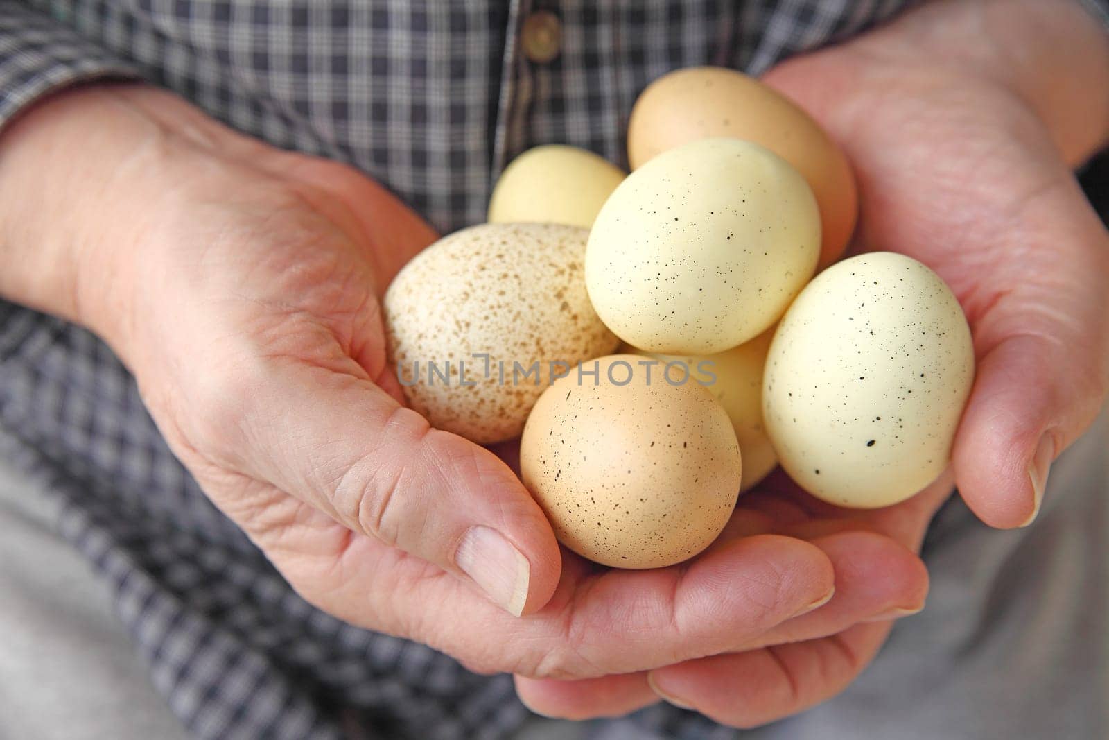A man holds several speckled eggs in both hands.