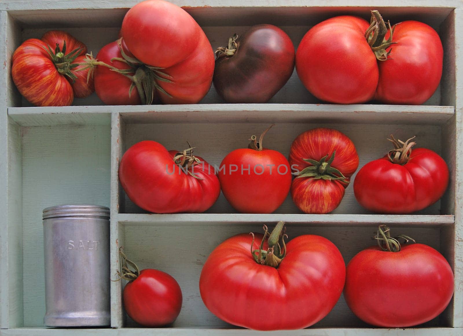 Large and small heirloom tomatoes in a box with an antique salt shaker