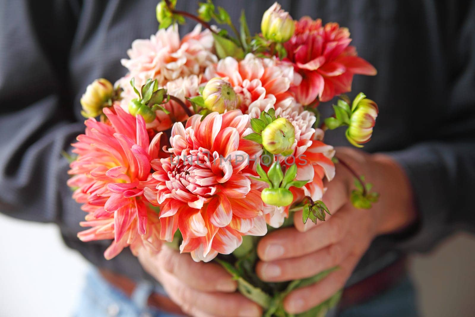 A man holds a bunch of fresh coral and white-colored dahlias