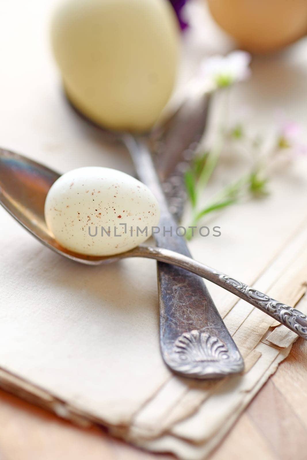 Eggs of different sizes on tarnished old spoons on vintage book pages