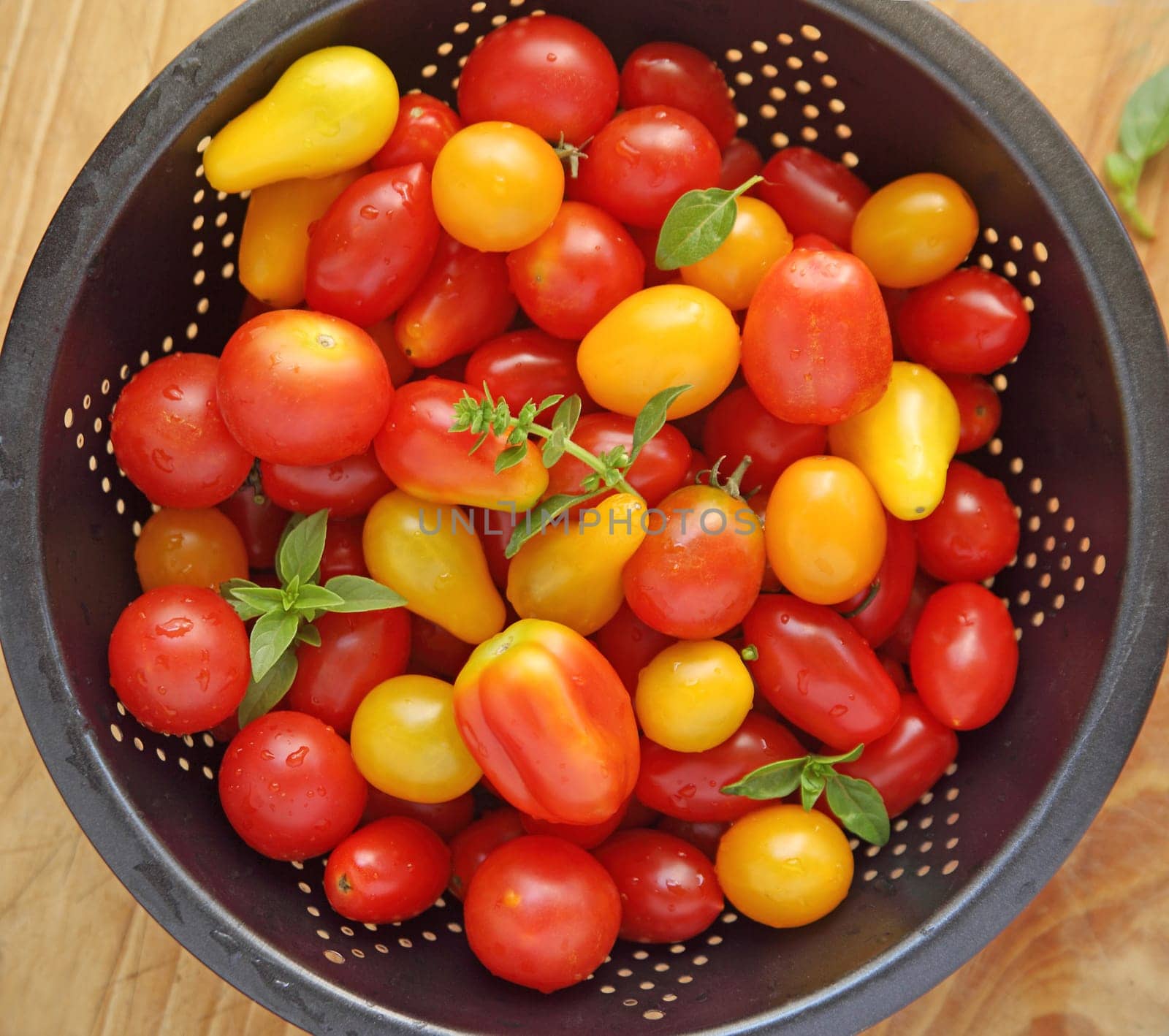 Various shapes and colors of cherry tomatoes from overhead with miniature basil leaves