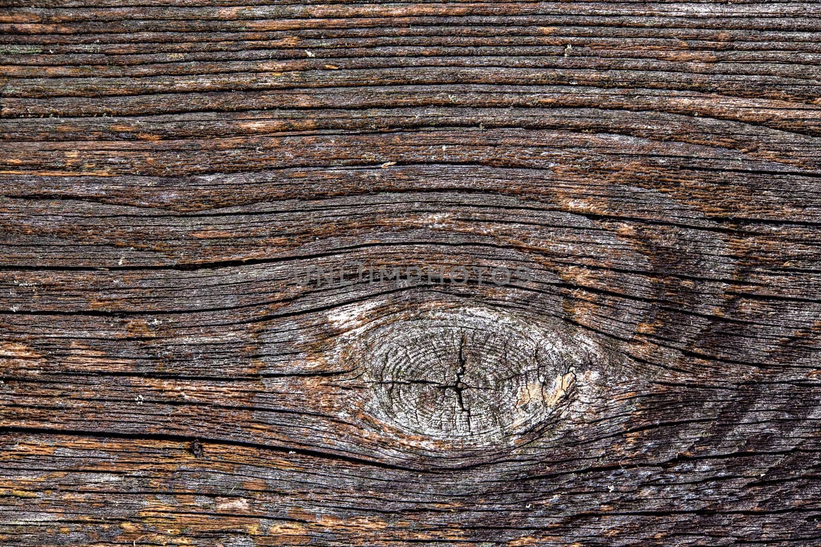texture / background - gray brown old wooden ground