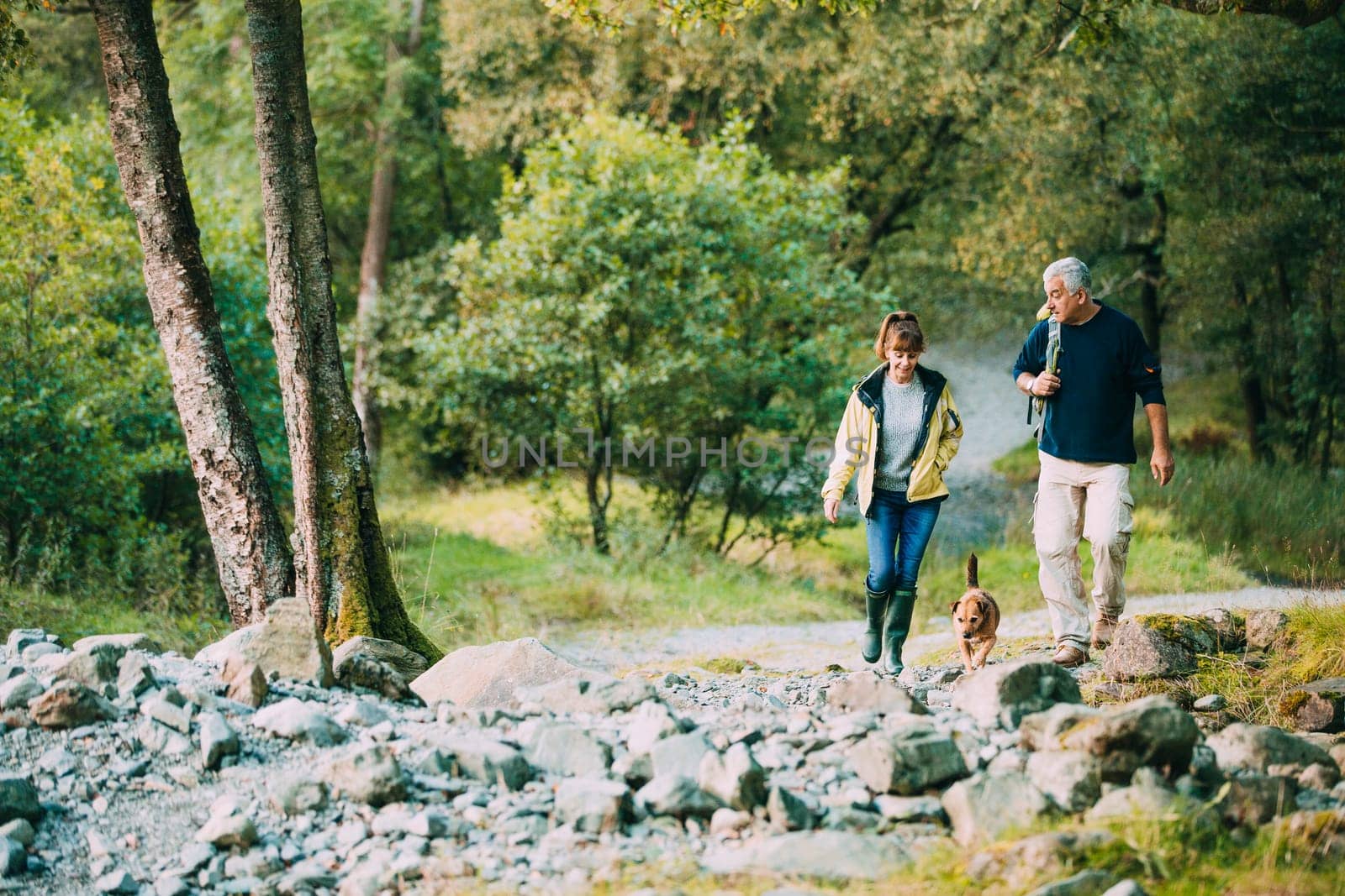 Senior couple are hiking through the Lake District together with their pet dog.