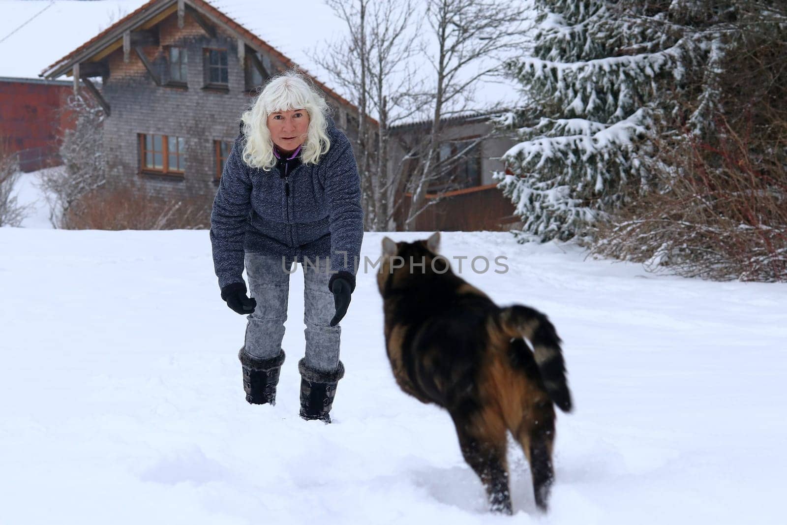 A woman plays with her cat in the snow. Funny cat photo of a jumping cat
