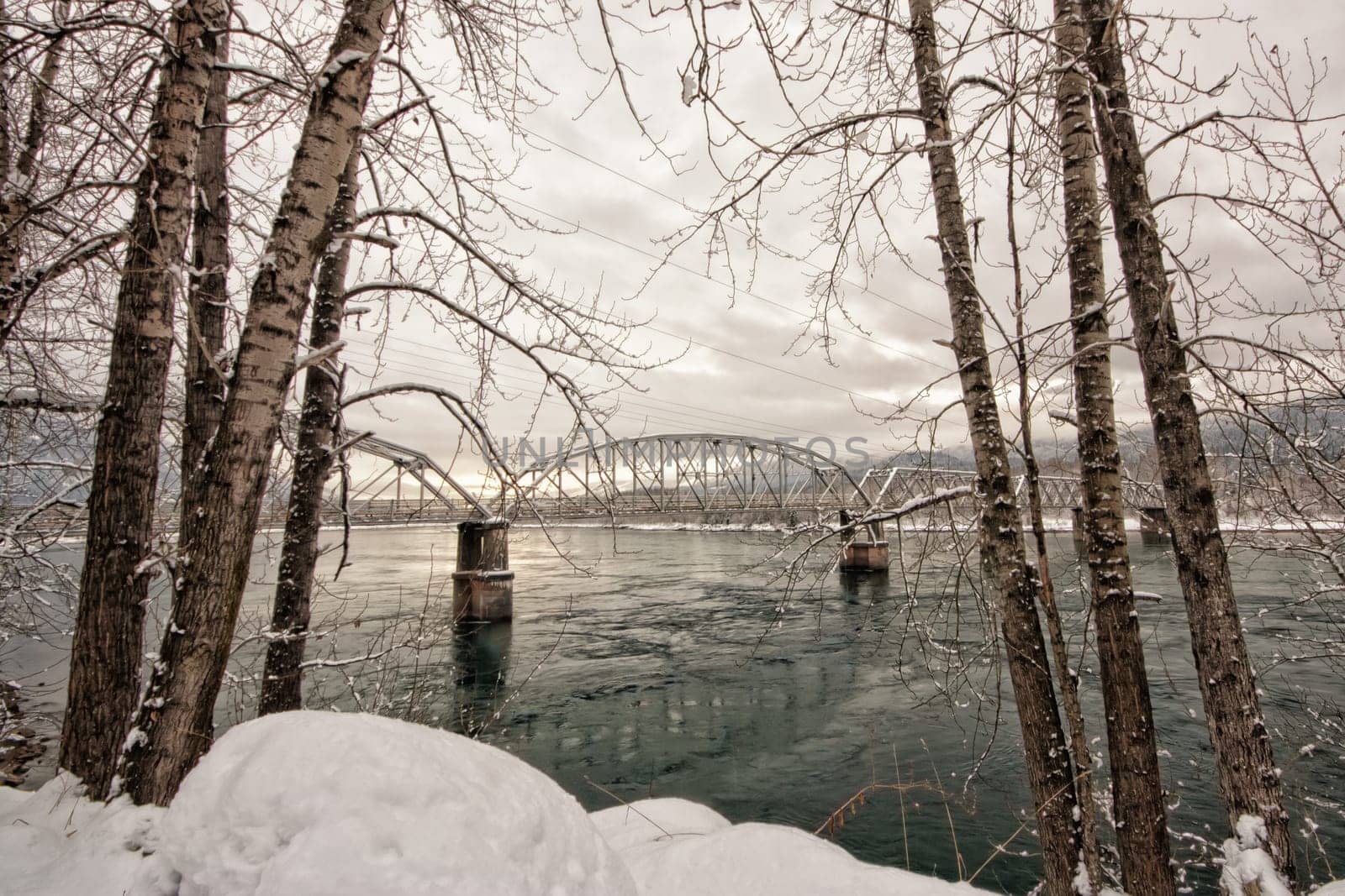 Trestle bridge on the Columbia river framed with trees in winter.