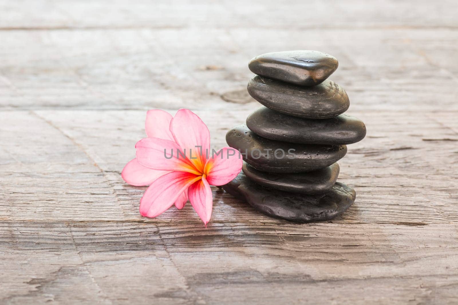 Plumeria flowers and black stones on weathered wooden background