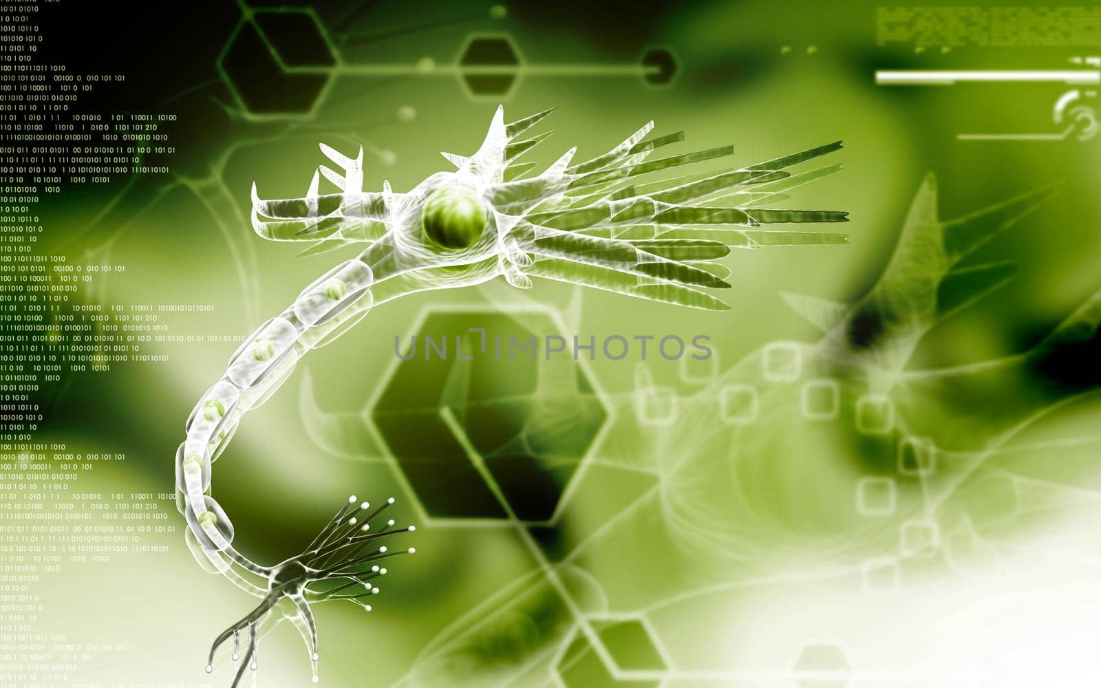 Digital illustration of neuron in colour background