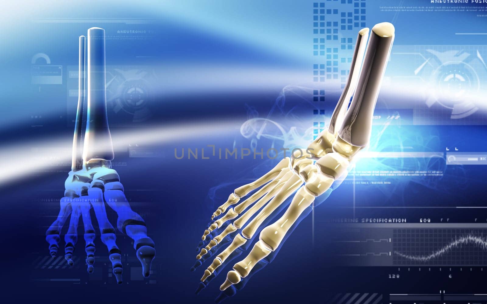 Digital illustration of Leg bone in colour background