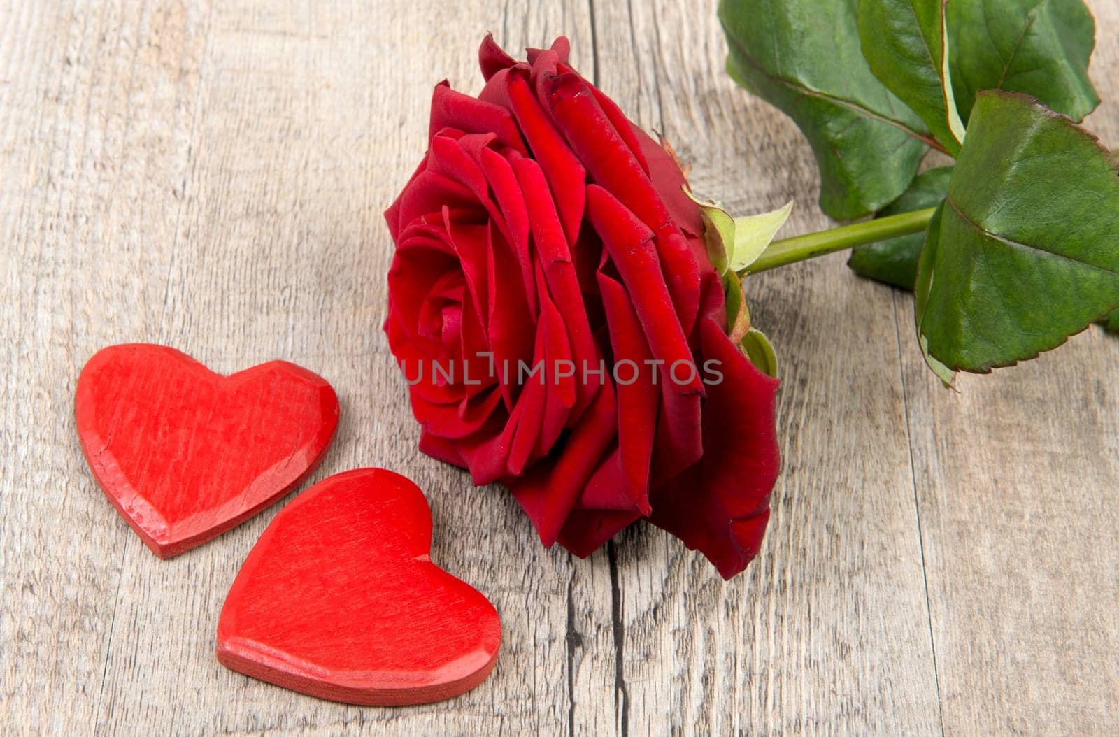 heart and rose for Valentine's day