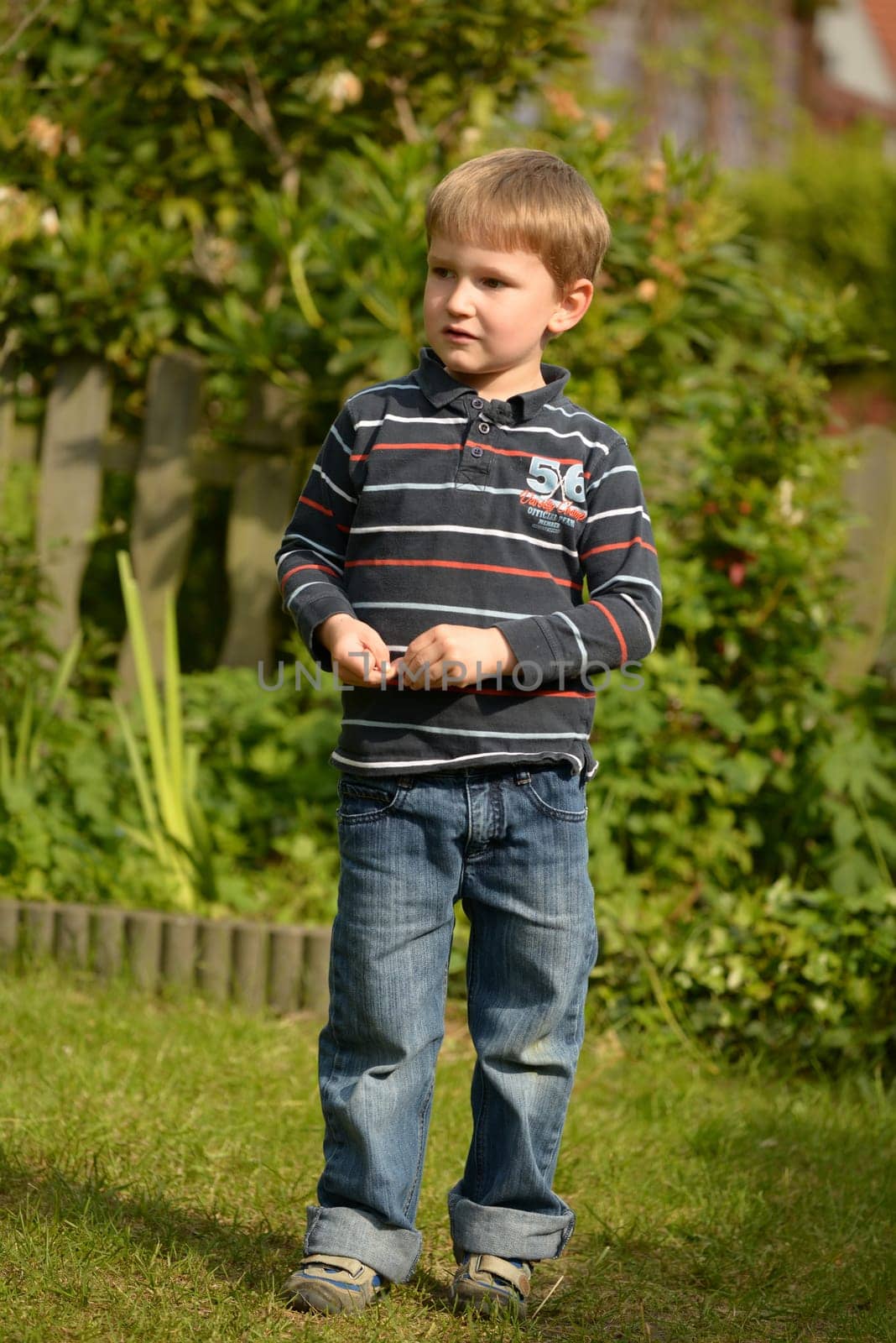 Boy in the garden