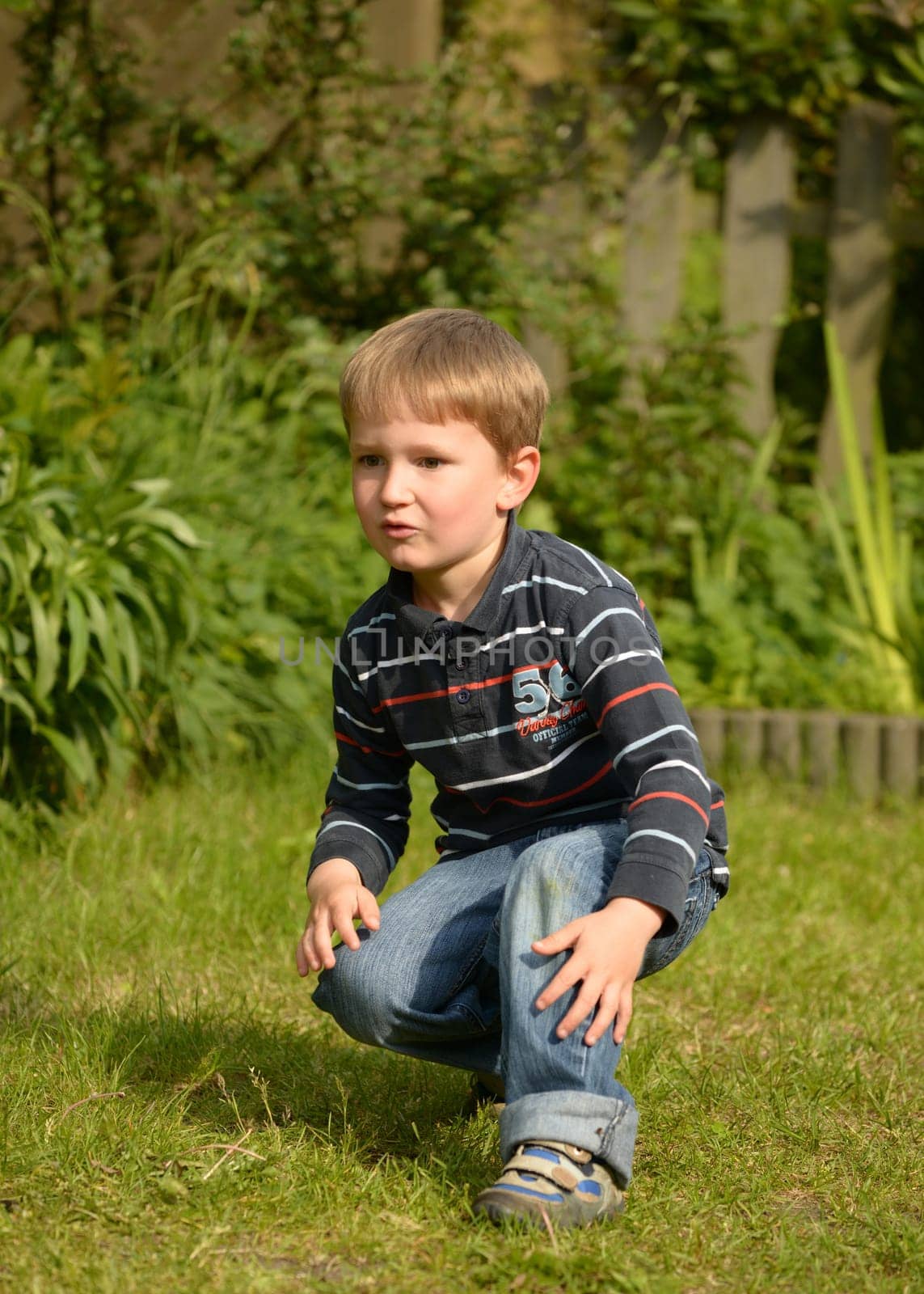 Boy in the garden