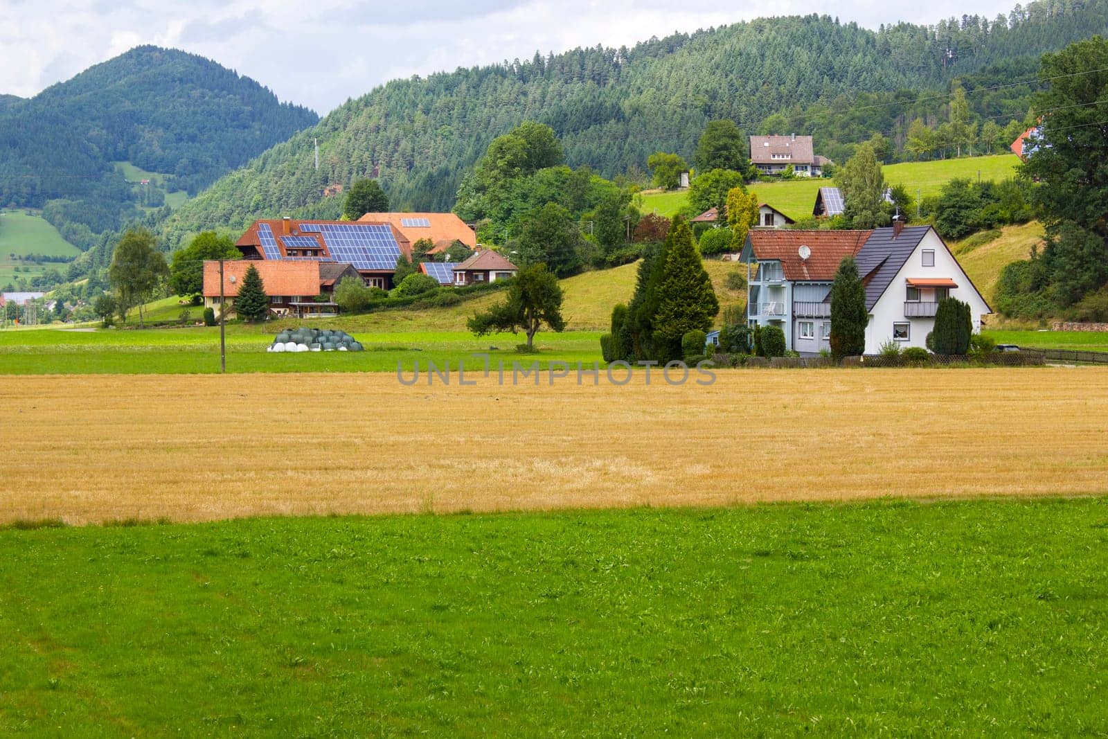Black Forest in Germany