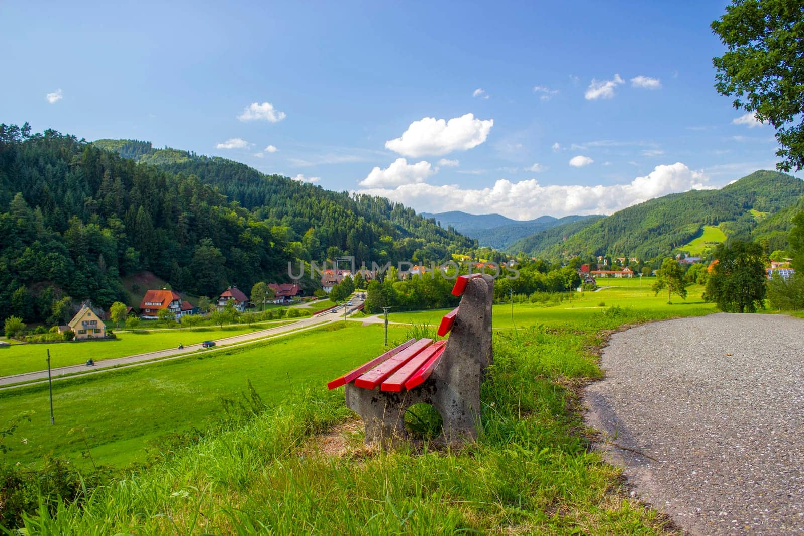 Black Forest in Germany