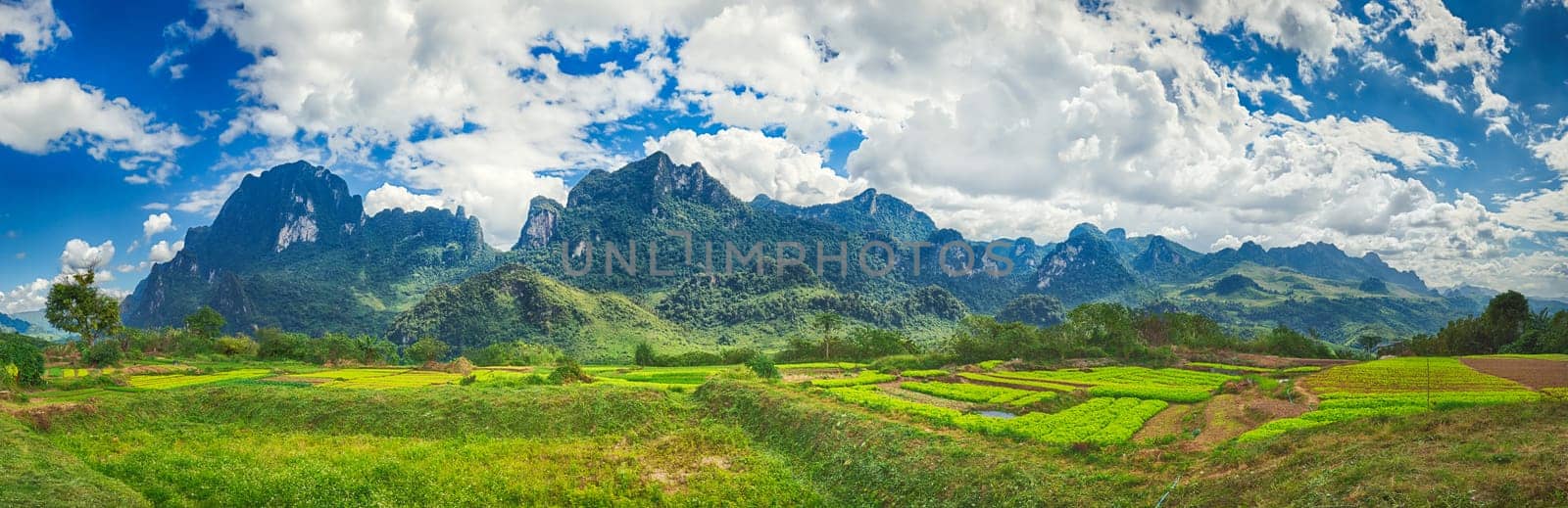 Fields and mountains. Beautiful rural landscape. Vang Vieng, Laos. Panorama