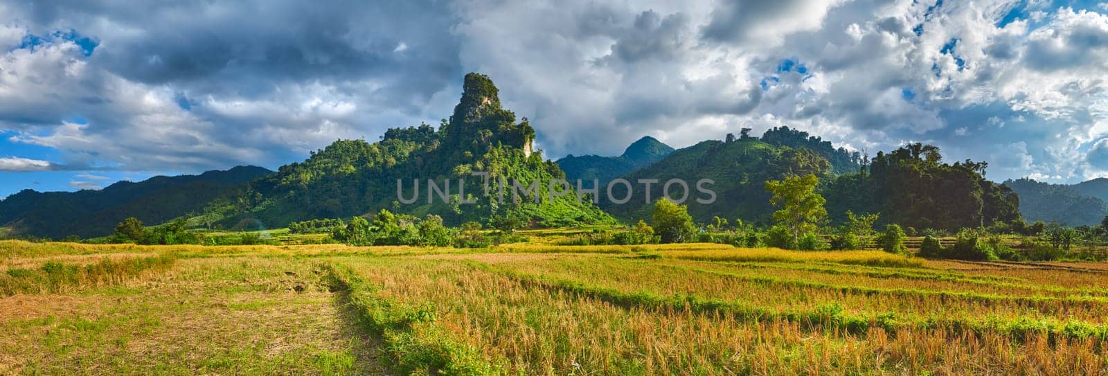Rice field and mountains. Beautiful rural landscape. Vang Vieng, Laos. Panorama