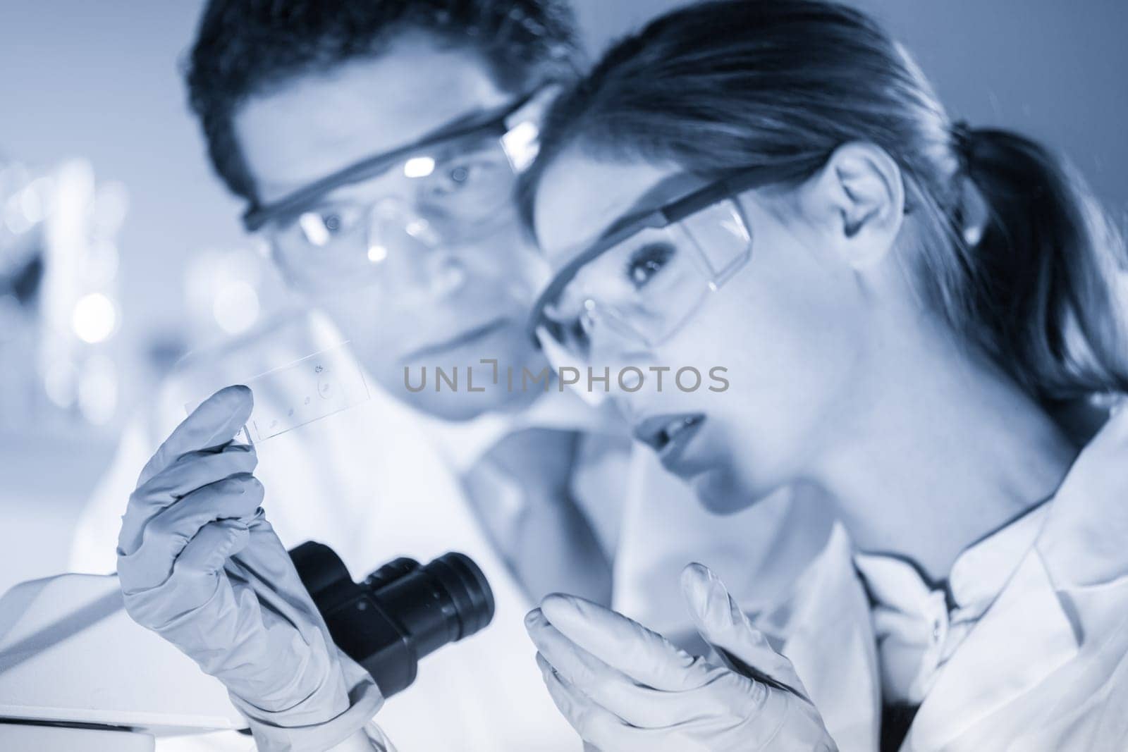 Life scientist researching in laboratory. Scientist and doctoral supervisor looking at microscope slide in forensic laboratory. Healthcare and biotechnology. Focus on slide. Greyscale blue toned.