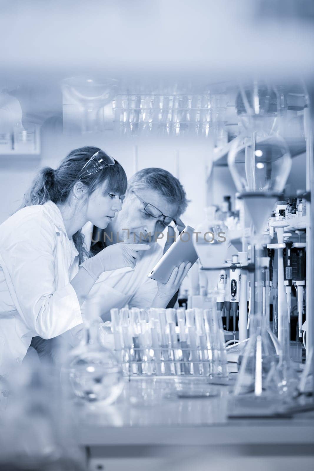 Scientists researching in scientific laboratory. Young female scientist and her senior male supervisor looking at the cell colony grown in the petri dish in the life science research laboratory.