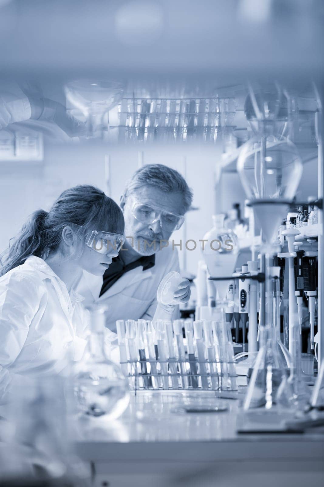 Scientists researching in scientific laboratory. Young female scientist and her senior male supervisor looking at the cell colony grown in the petri dish in the life science research laboratory.