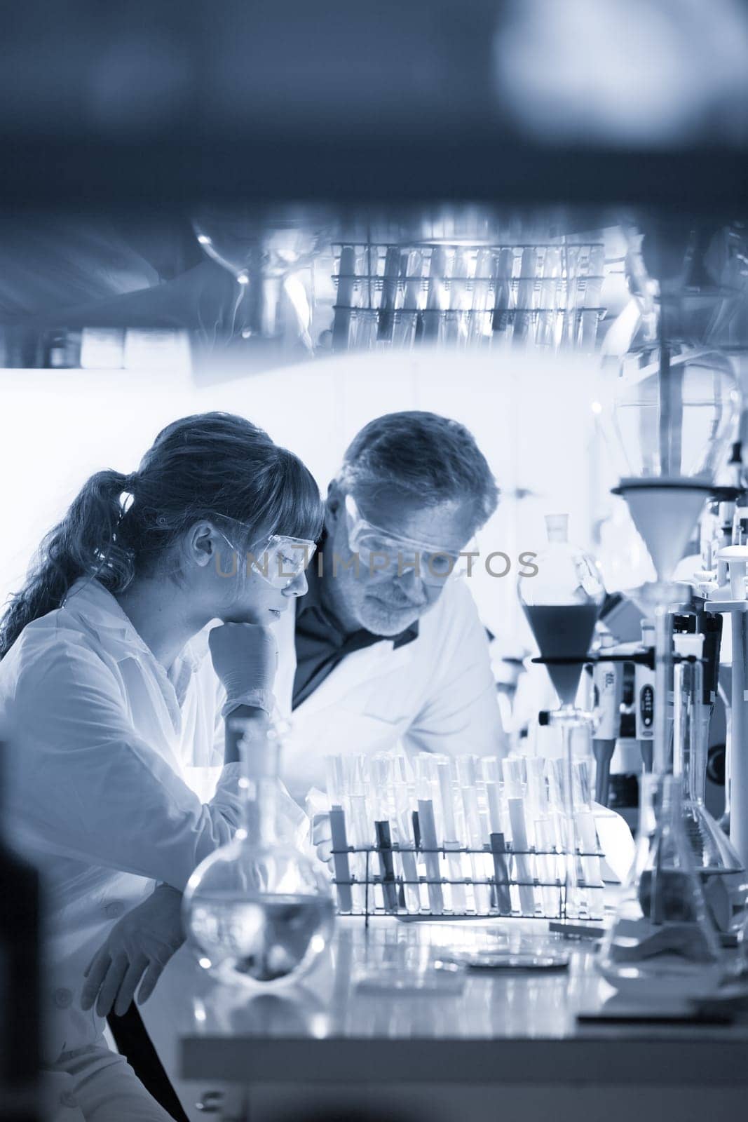 Scientists researching in scientific laboratory. Young female scientist and her senior male supervisor looking at the cell colony grown in the petri dish in the life science research laboratory.