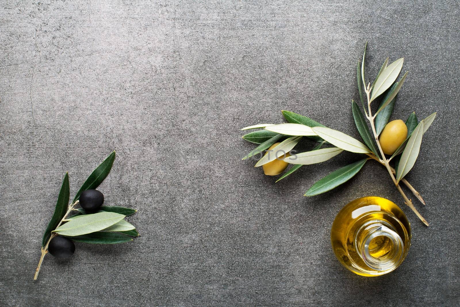 Olive oil and olive branch on gary background