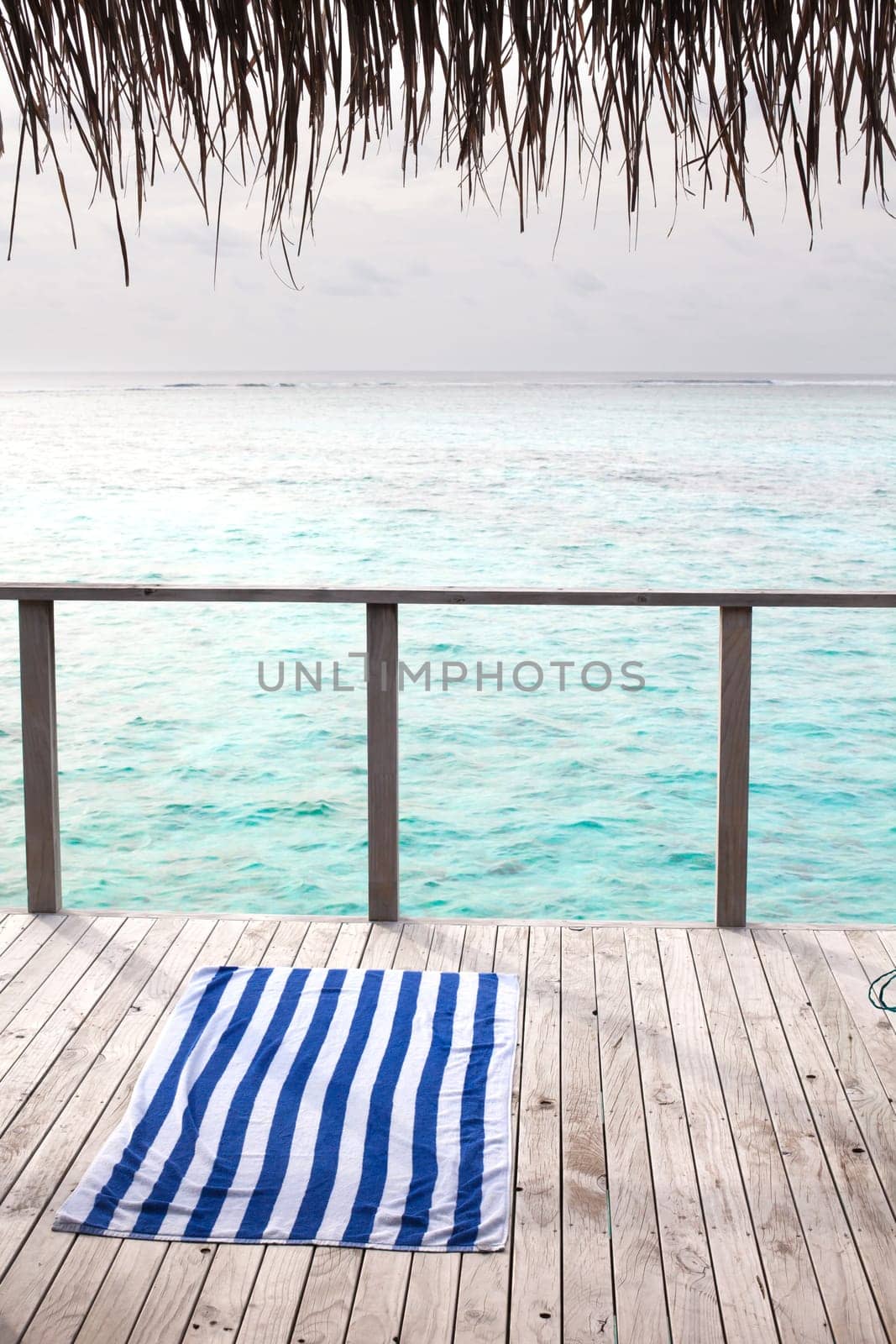 Holiday Paradise