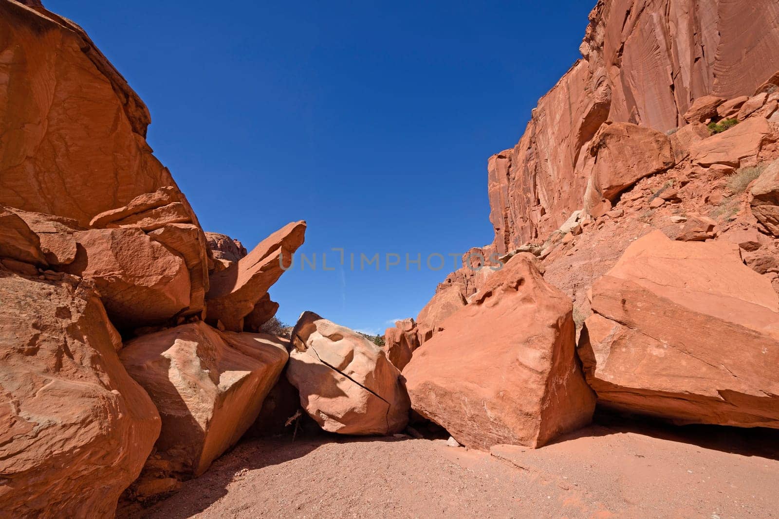 Rock Jam in a Desert Canyon in Spring Canyon in Capitol Reef National Park in Utah