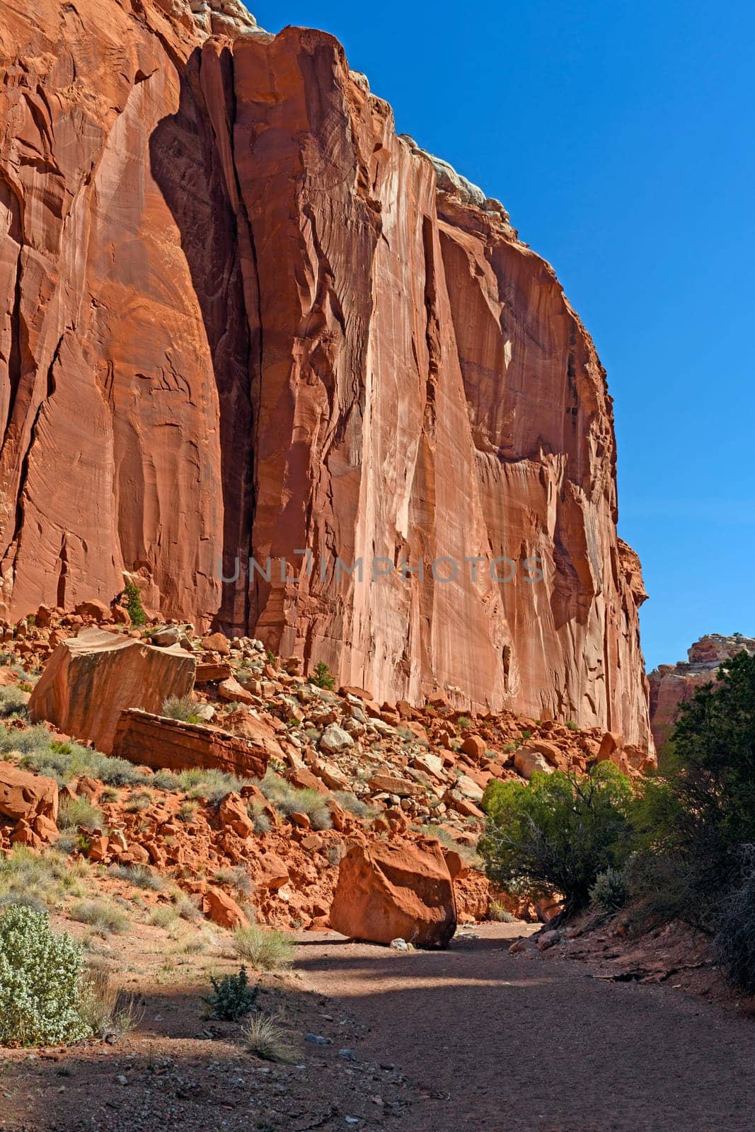 Red Rock Cliff Rising from the Canyon Floor in Spring Creek in Capitol Reef National Park in Utah