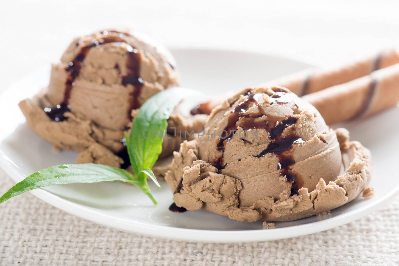 Close up plate of chocolate ice cream.