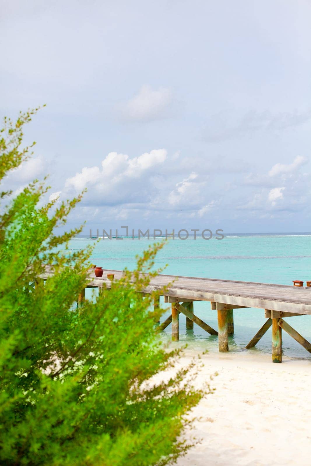 Holiday paradise