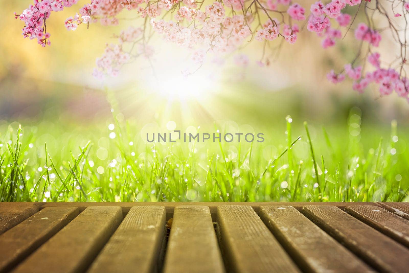 Spring flowers and wooden deck in morning sunlight background