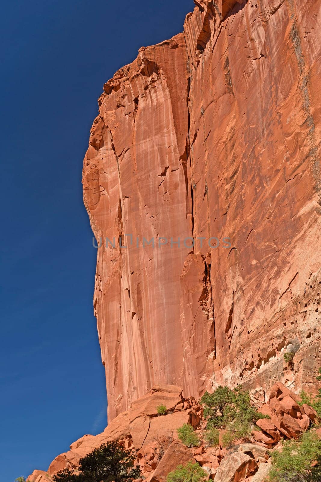 Dramatic Sheer Cliff in a Desert Canyon in Capitol Reef National Park in Utah