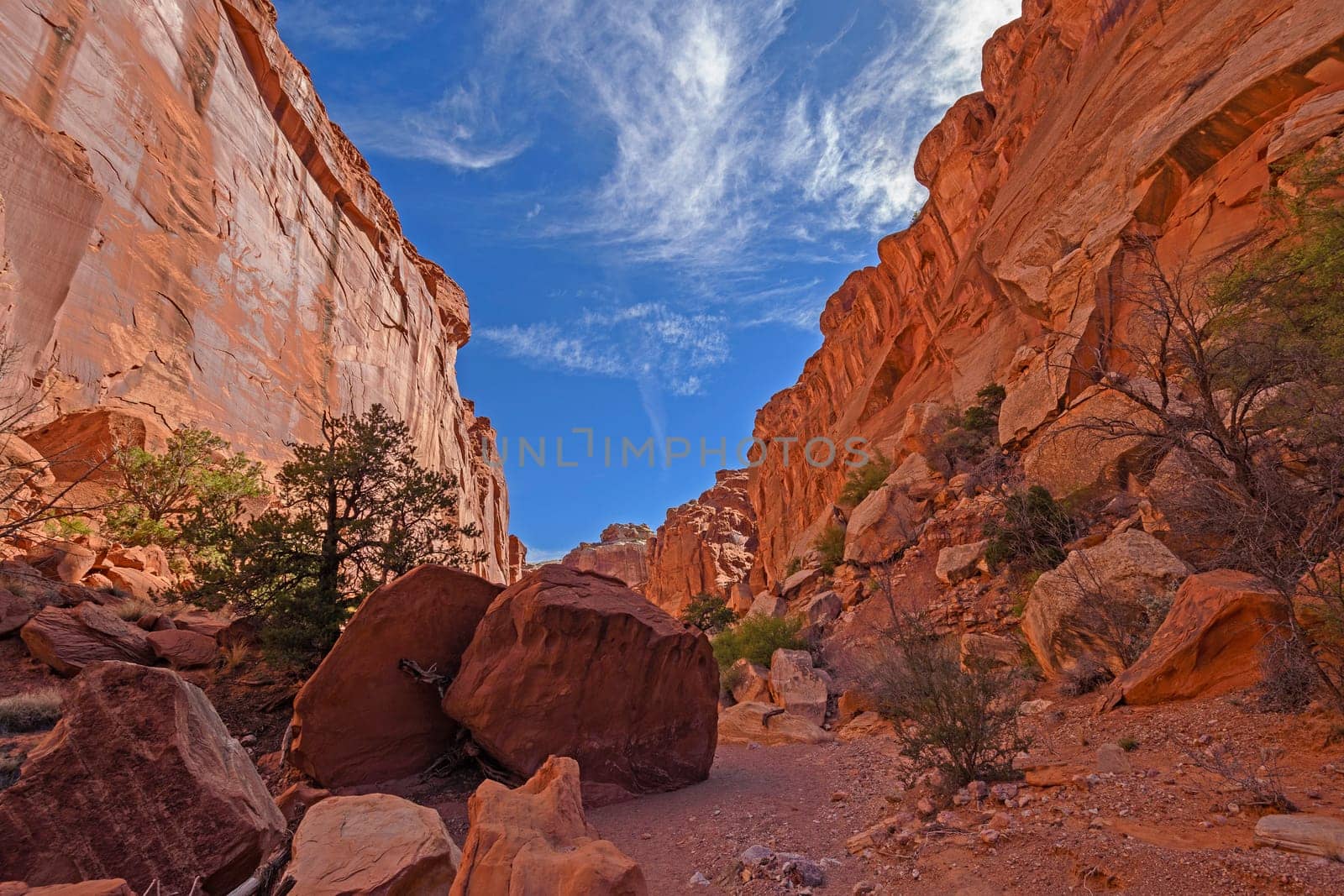 Shade and Light Deep in a Desert Canyon in Capitol Reef National Park in Utah