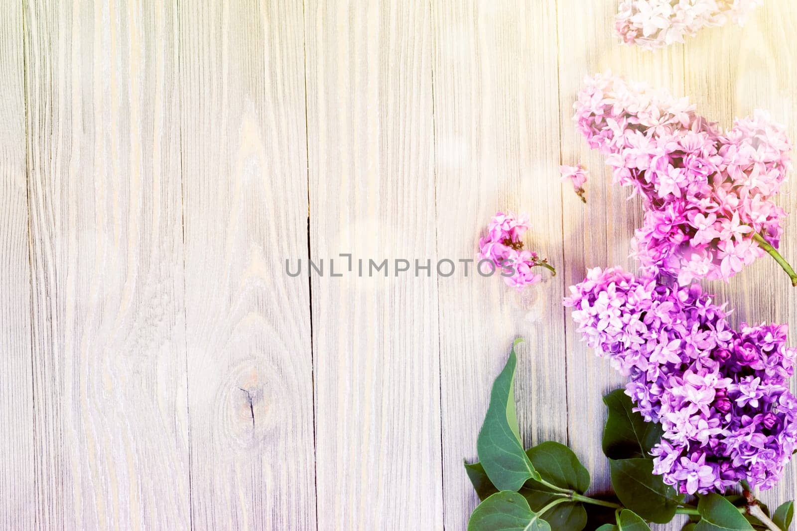 Purple lilac flowers on wooden table background
