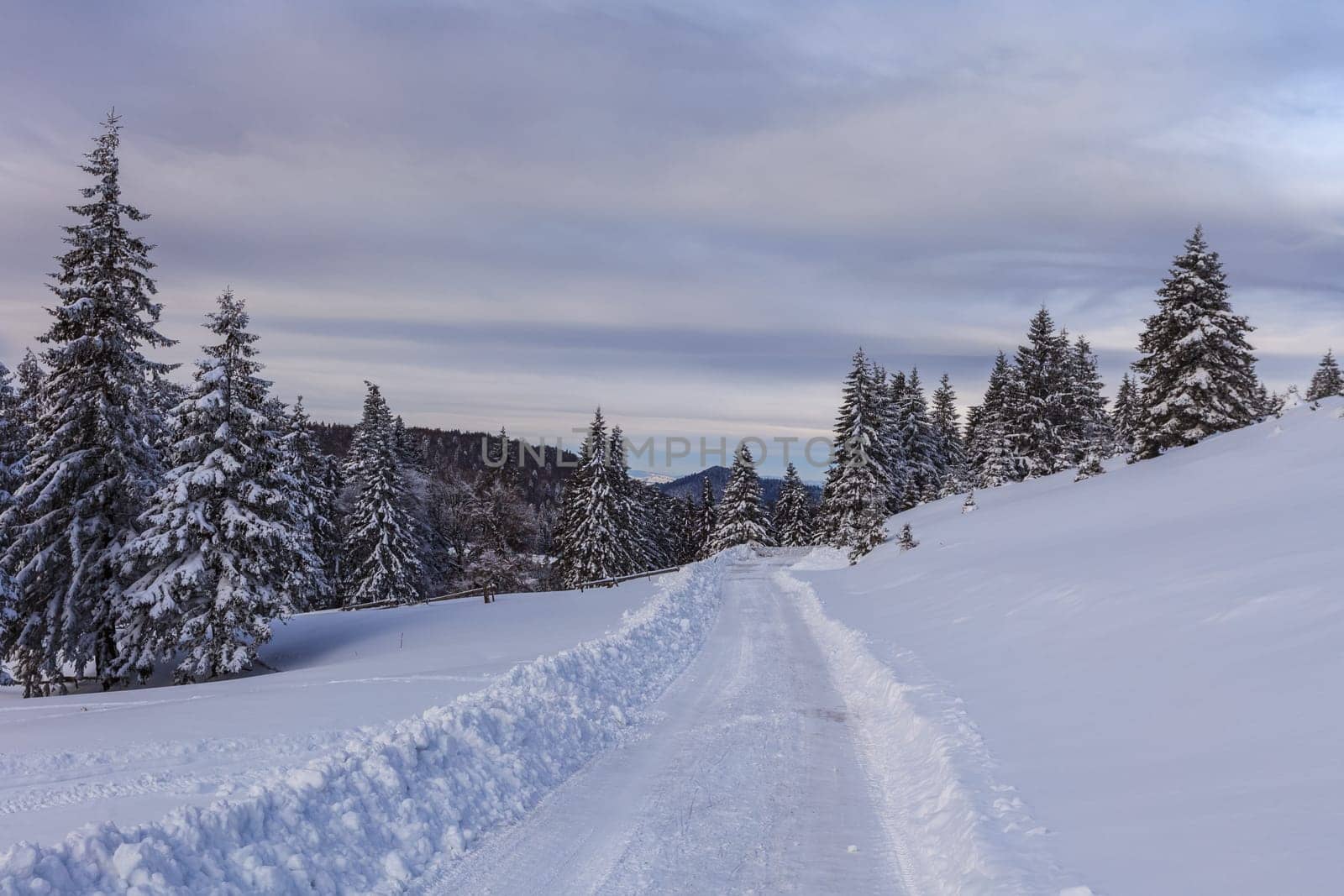 rustic road in winter. Bucegi Mountains, Romania