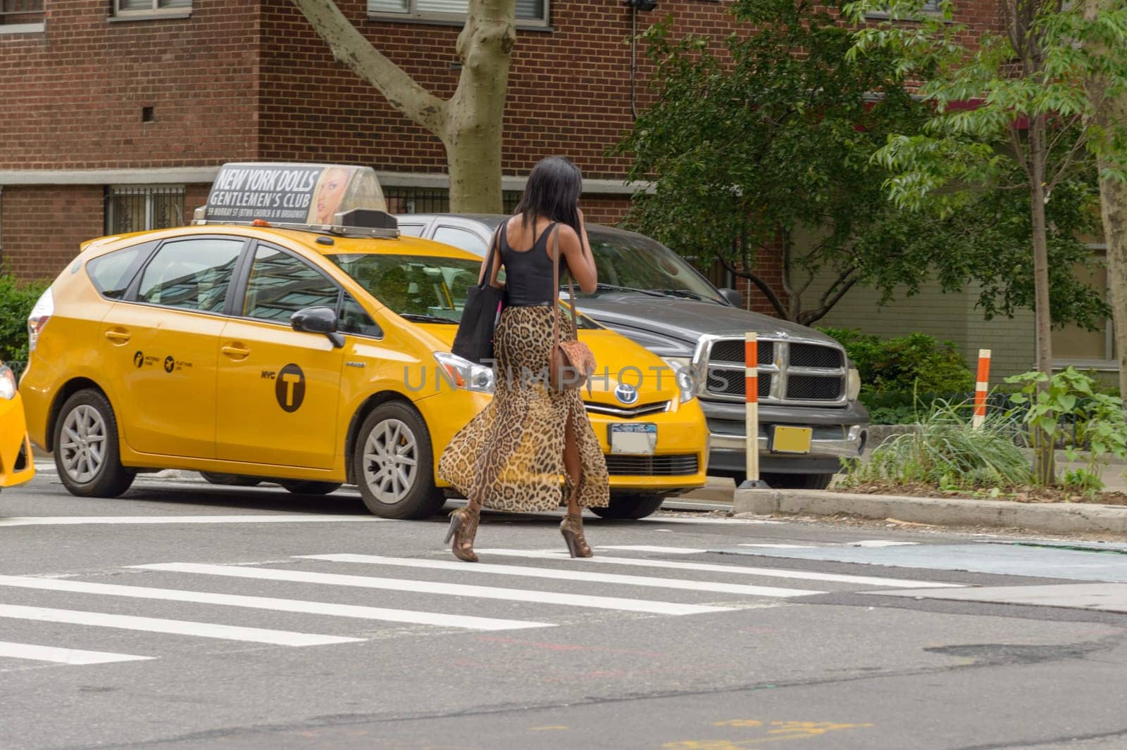 New York City, USA - June 08, 2017: New York yellow taxi cab stop at pedestrians traffic lights crossing the street in pedestrian crossing. American woman crosses the zebra crossing while the taxis are stationary.