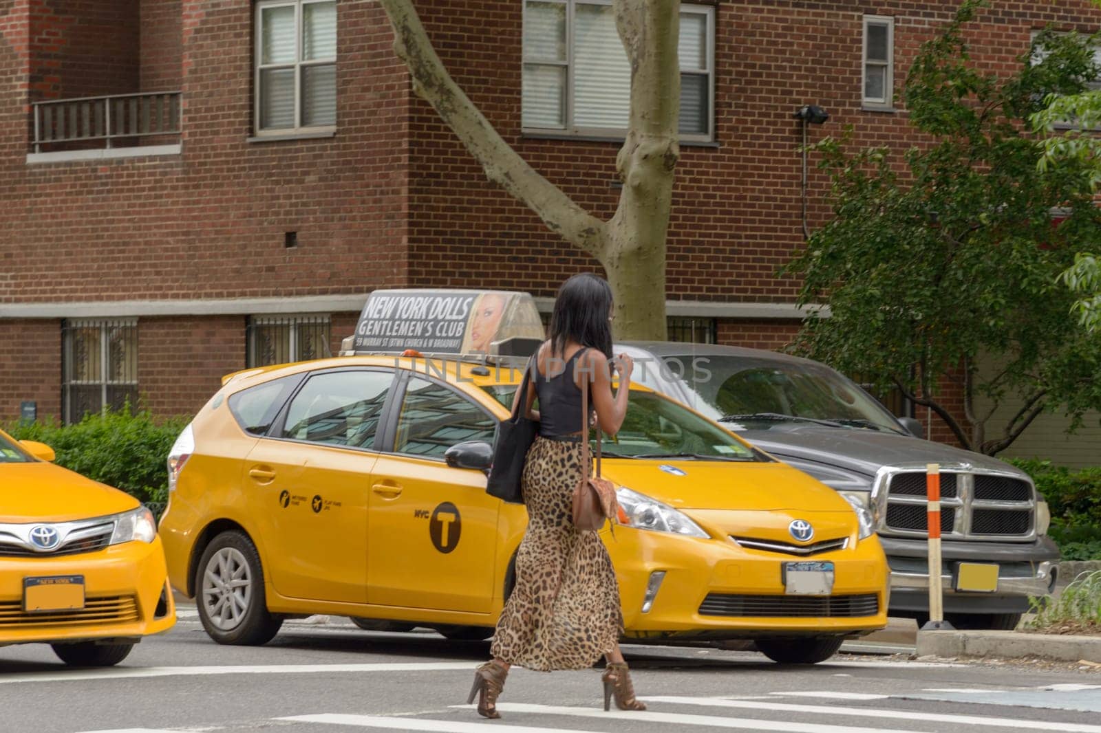 New York City, USA - June 08, 2017: New York yellow taxi cab stop at pedestrians traffic lights crossing the street in pedestrian crossing. American woman crosses the zebra crossing while the taxis are stationary.