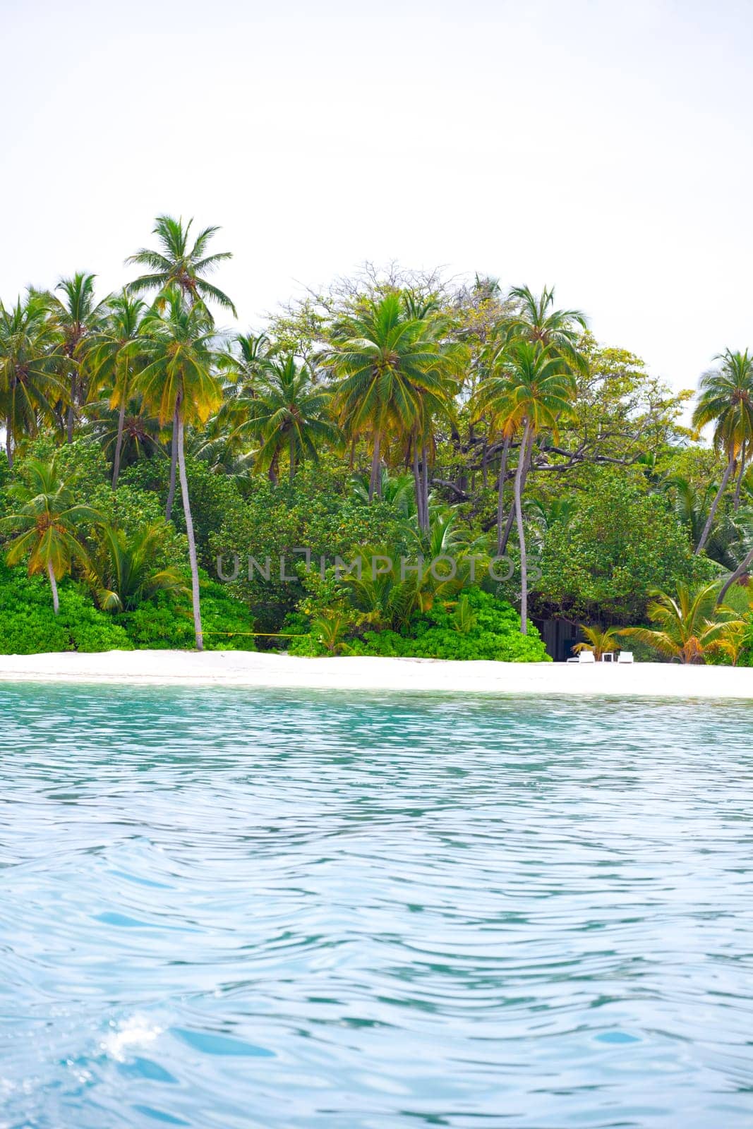 Holiday Paradise
