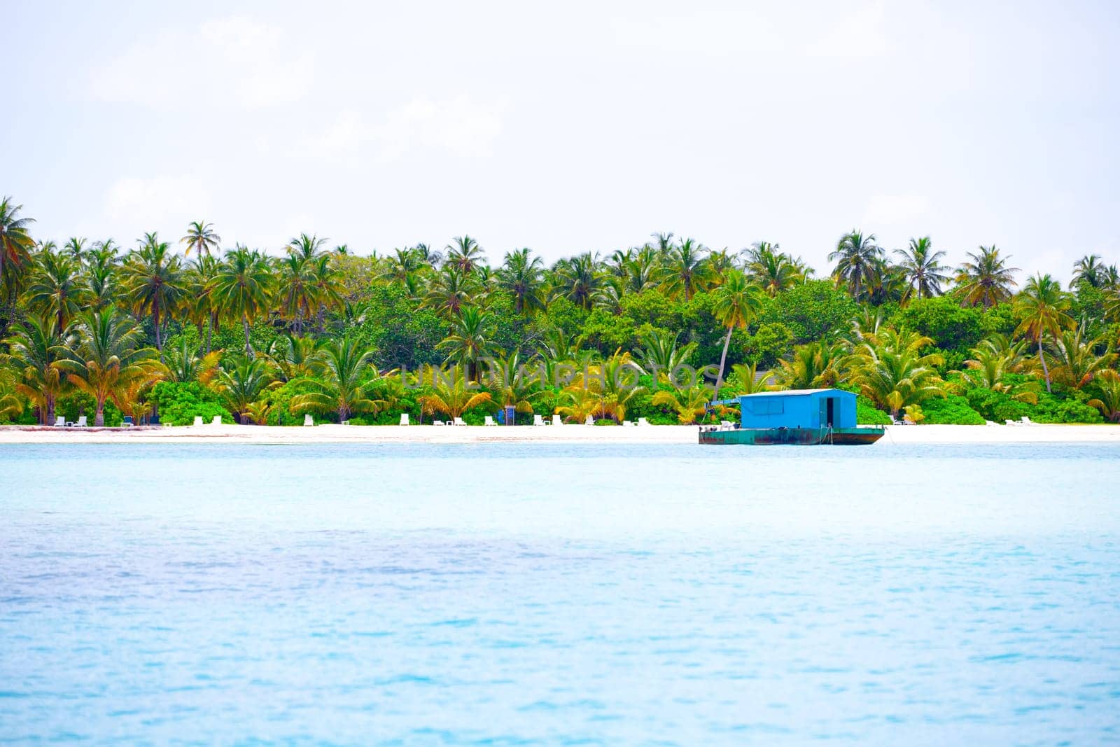 Holiday Paradise