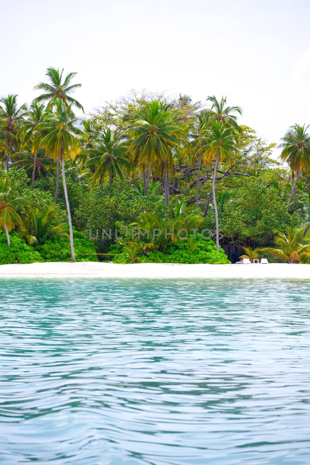 Holiday Paradise