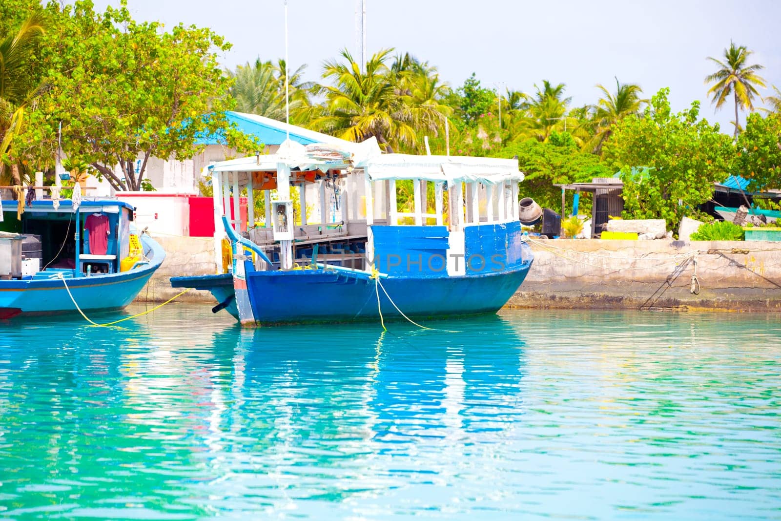 Holiday Paradise