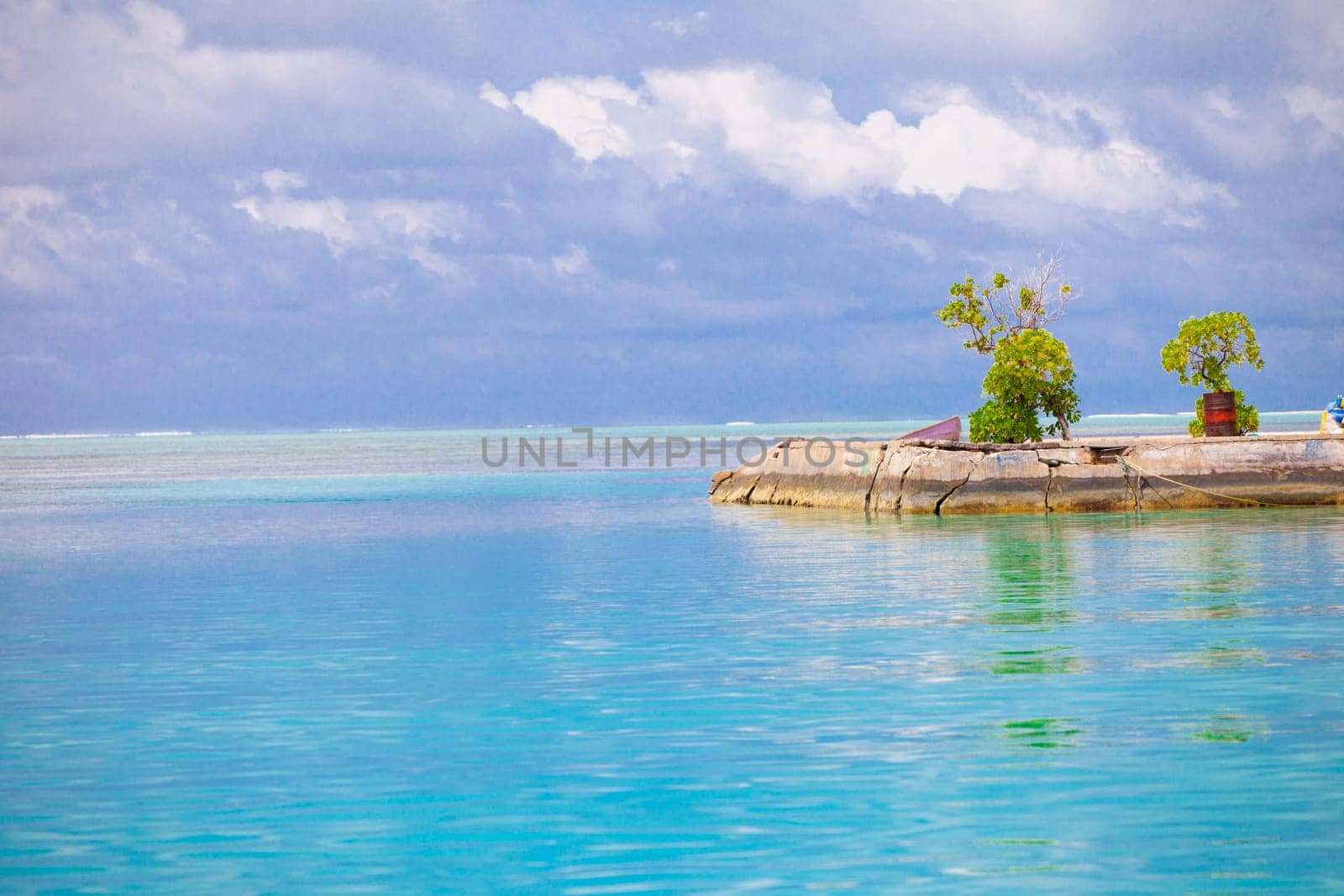 Holiday Paradise