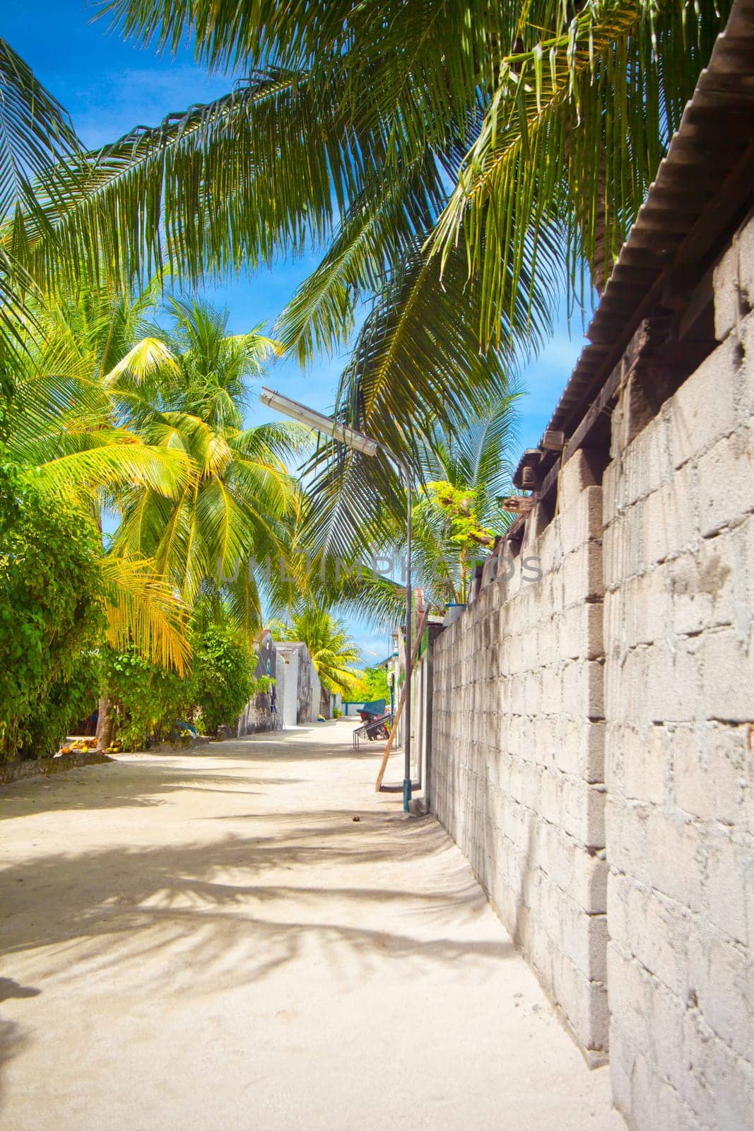 Holiday Paradise Background