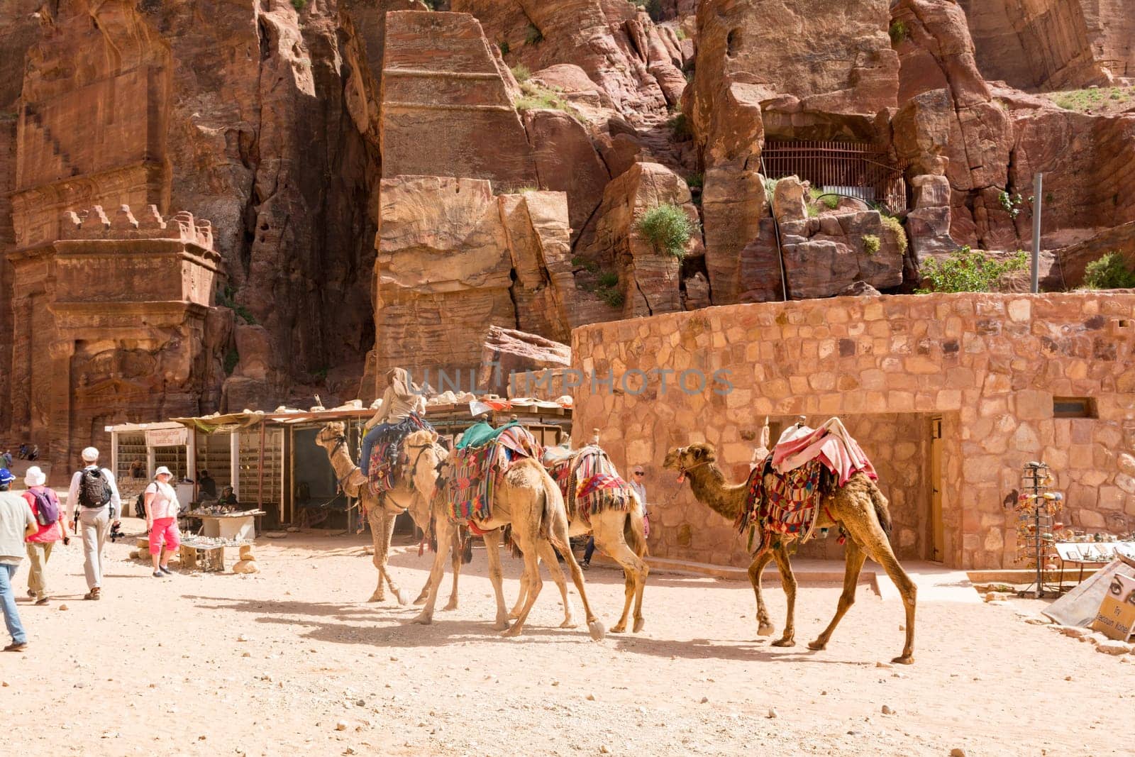 PETRA, JORDAN - APRIL 25, 2016: Arab Jordanian Bedouin man rides a camel in Petra .Petra was originally the capital city of the Nabataeans, an ancient Arab civilization.