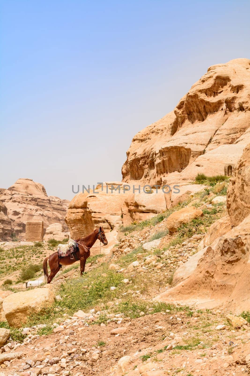 Horse and rock formations, in the city of Petra, Jordan