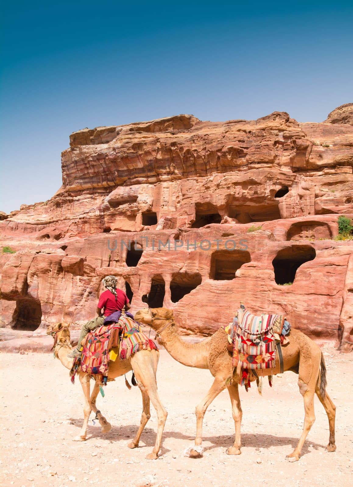 PETRA, JORDAN - APRIL 25, 2016: Arab Jordanian Bedouin man rides a camel in Petra, Jordan.